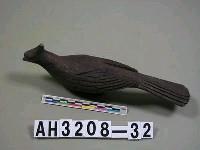 藏品(大鳥)的圖片